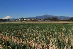 茅ヶ崎市芹沢地区