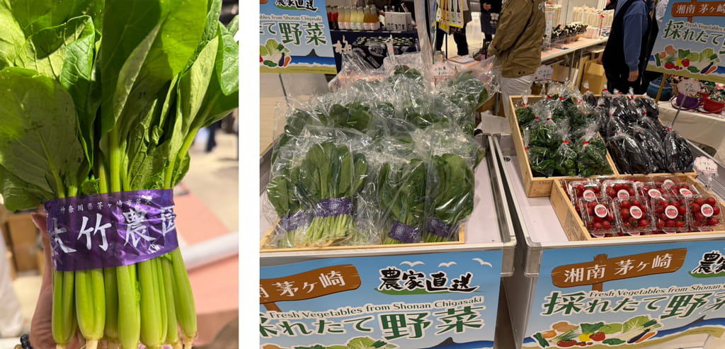湘南茅ヶ崎農家直送「採れたて野菜」の販売
